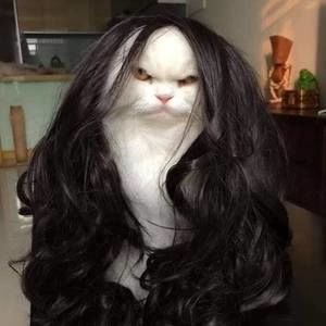 Meet your Posher, Ann